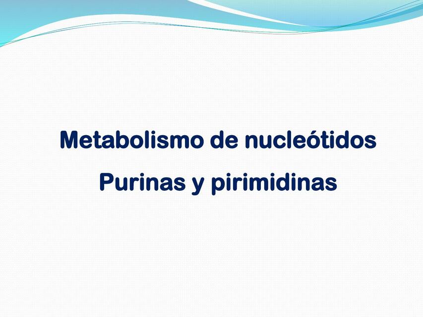 Metabolismo de Nucleótidos Purinas y Pirimidinas 