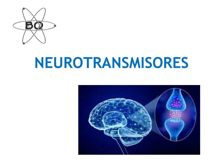 Neurotransmisores