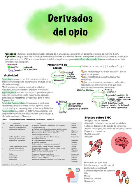 Opioides farmacología