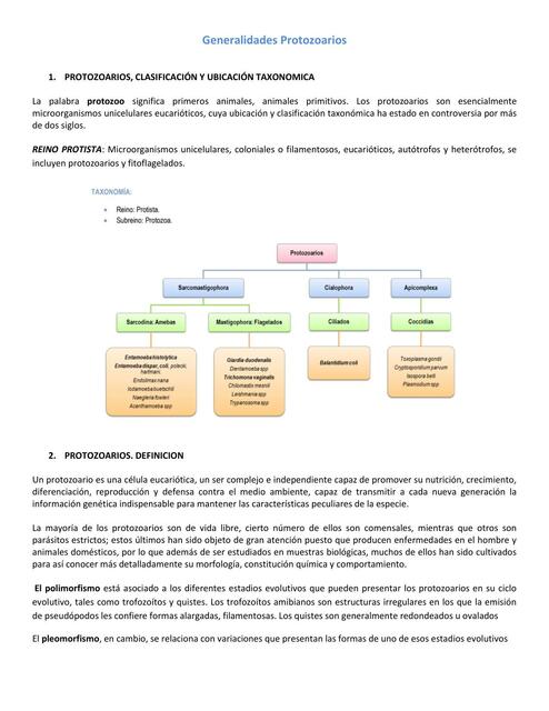 Generalidades Protozoarios