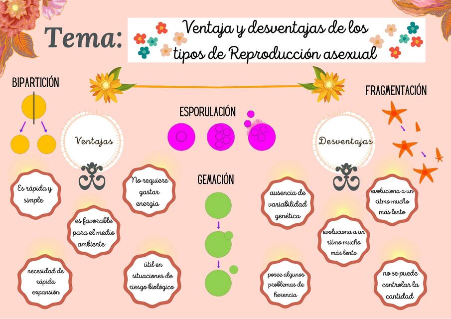 Ventaja y desventajas de los tipos de Reproducción | NATALIA ELIZABETH