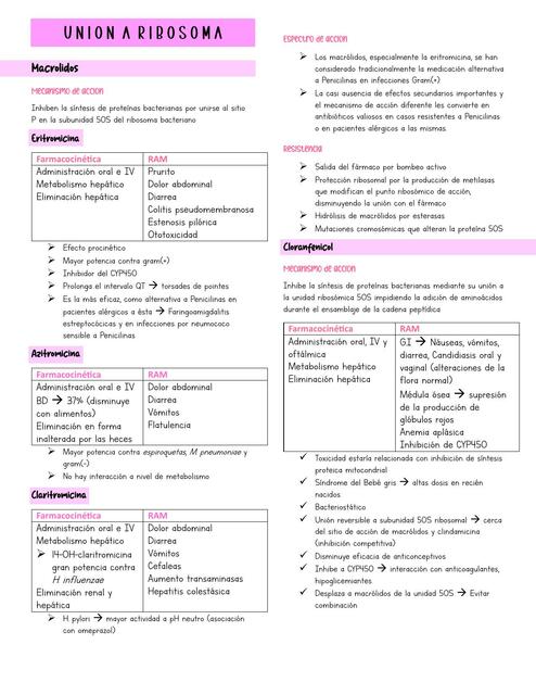 Antibióticos unidos a ribosoma