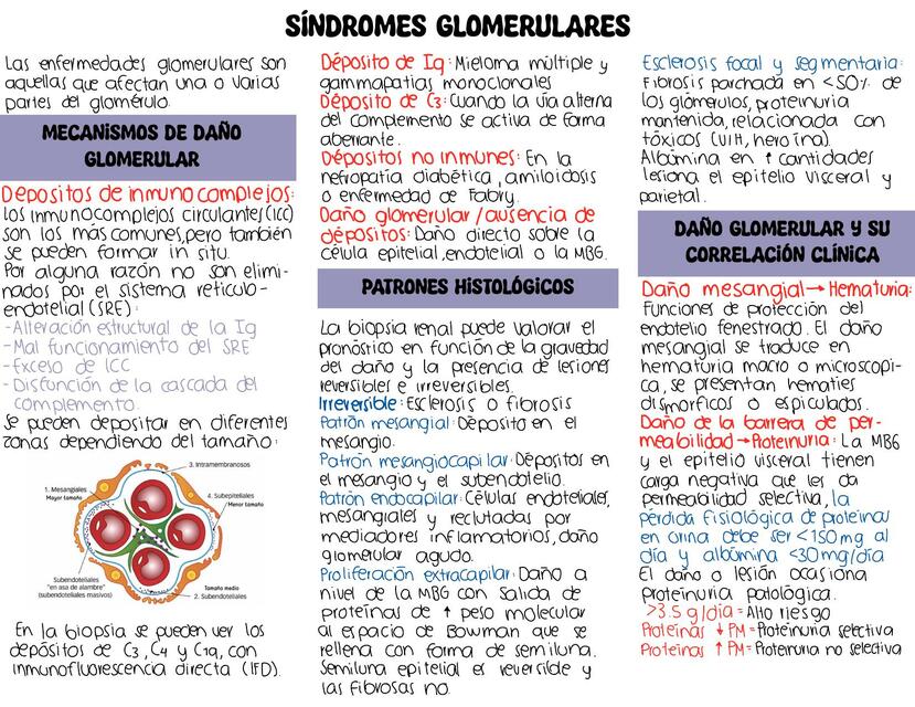 Sindrome nefrotico, nefritico, IRA, ERC