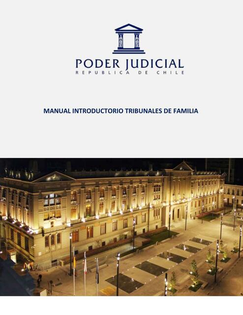 MANUAL INTRODUCTORIO JUZGADOS DE FAMILIA FINAL