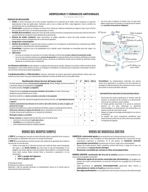 Herpes virus y fármacos antivirales 