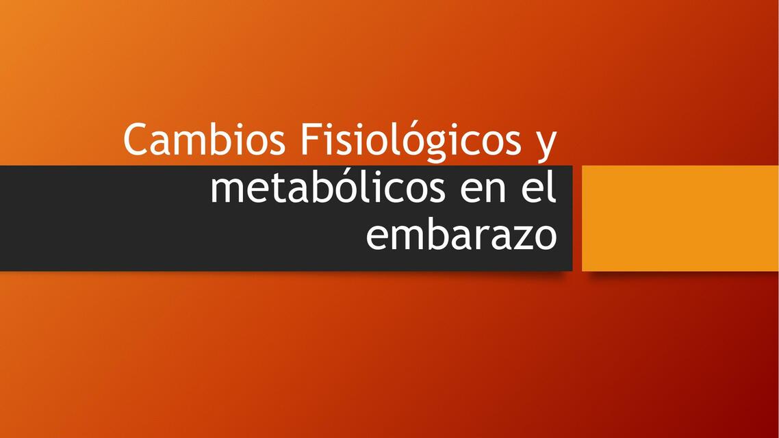 Fisiologia materna