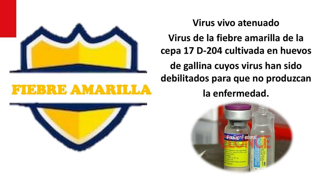 Fiebre Amarilla 