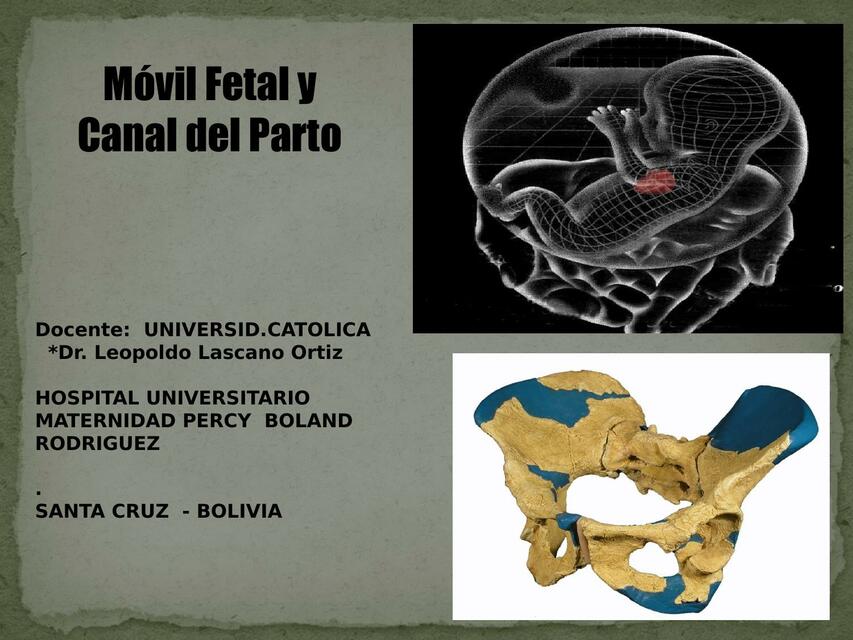 Móvil Fetal y Canal del Parto 