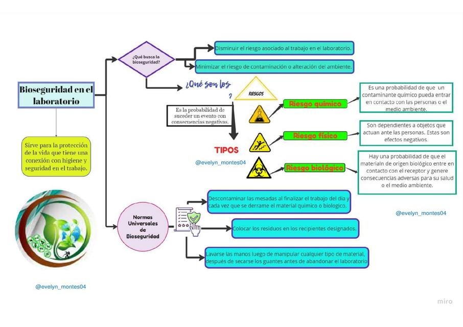 Cuadro sinóptico del taller ppt de bioseguridad | Evelyn Montes Valdez ...
