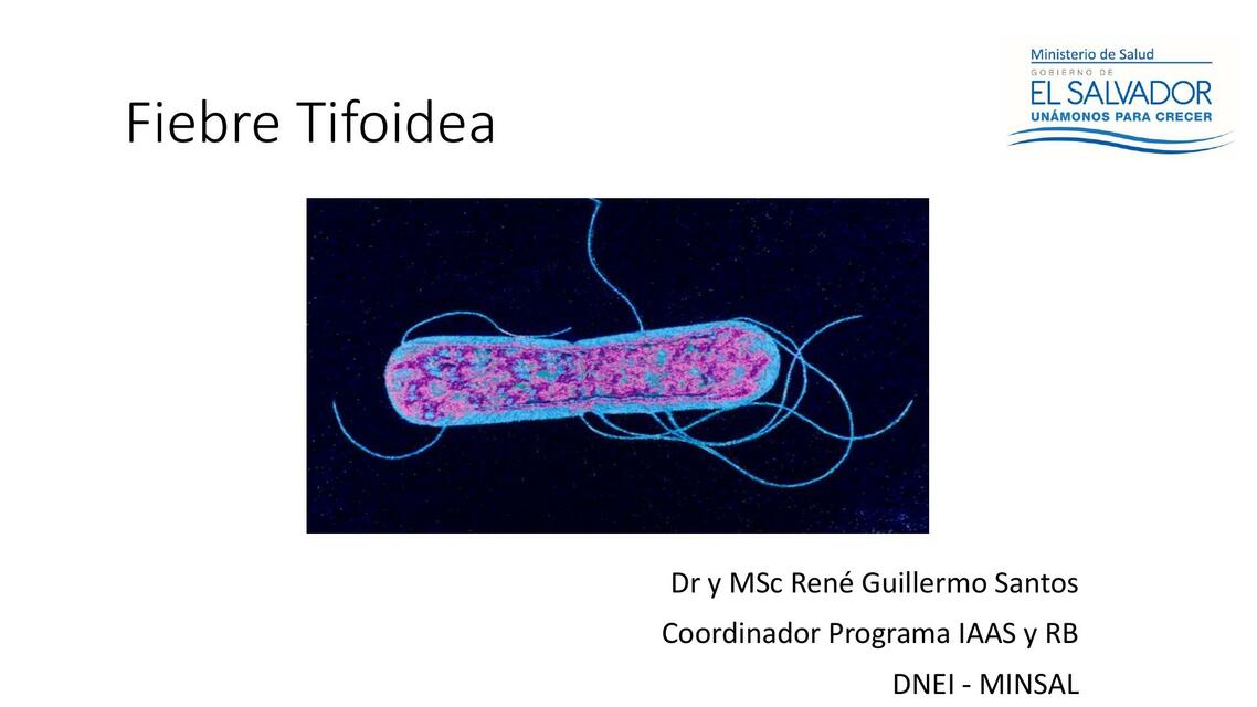 Fiebre Tifoidea 