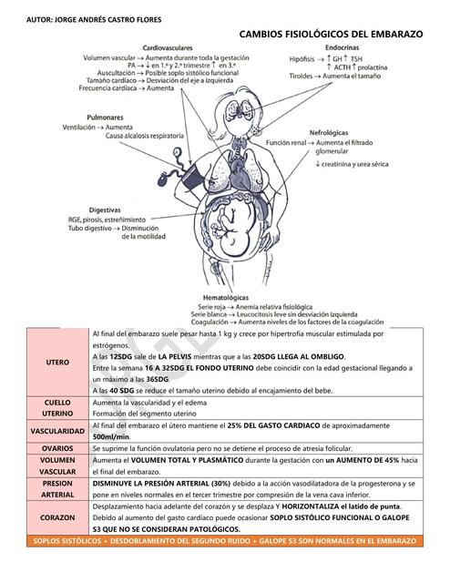 Cambios fisiológicos del embarazo 