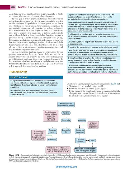 Inflamación inducida por cristales y mediada por el inflamasoma 