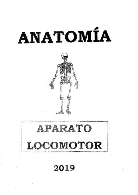 Aparato Locomotor 