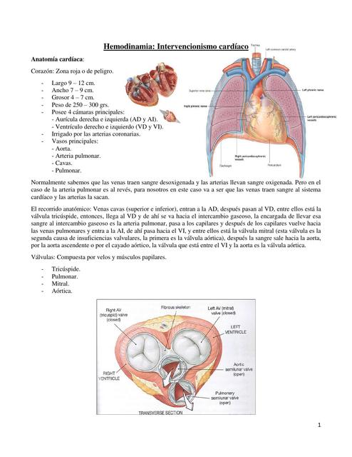 Clase 11 Hemodinamia