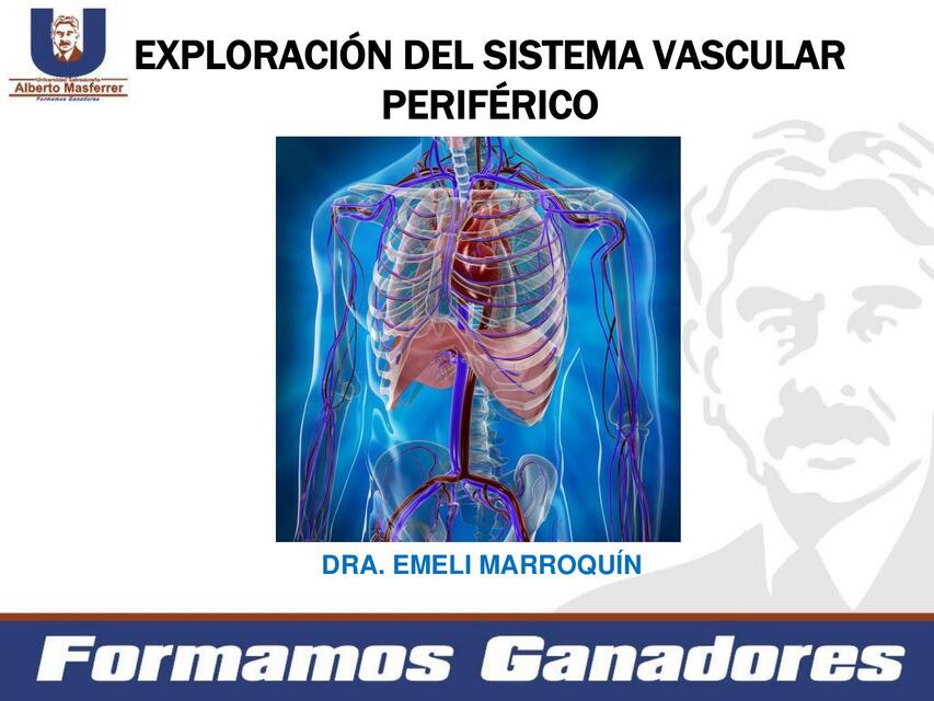  Vascular Periférico