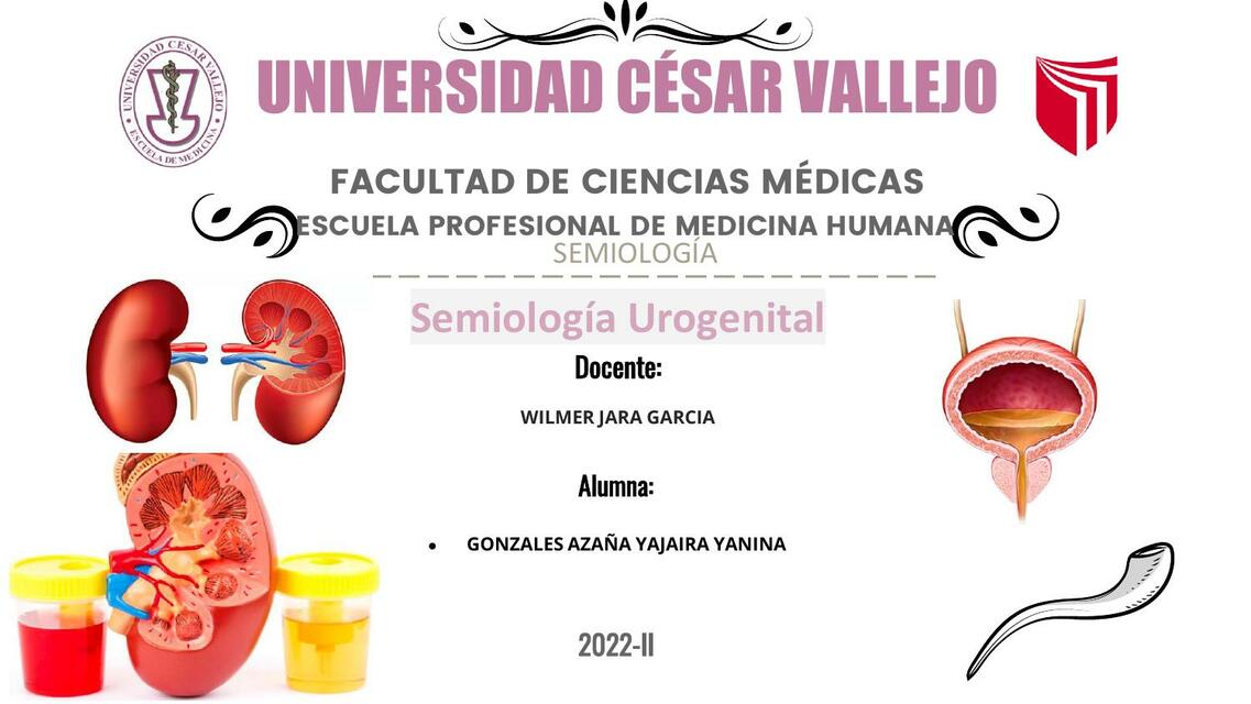 Semiología Urogenital ITU