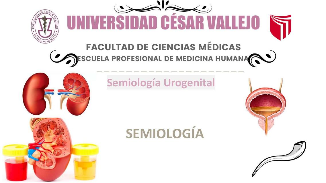 Semiología Urogenital ITU