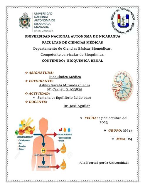 BIOQUIMICA RENAL TRABAJO