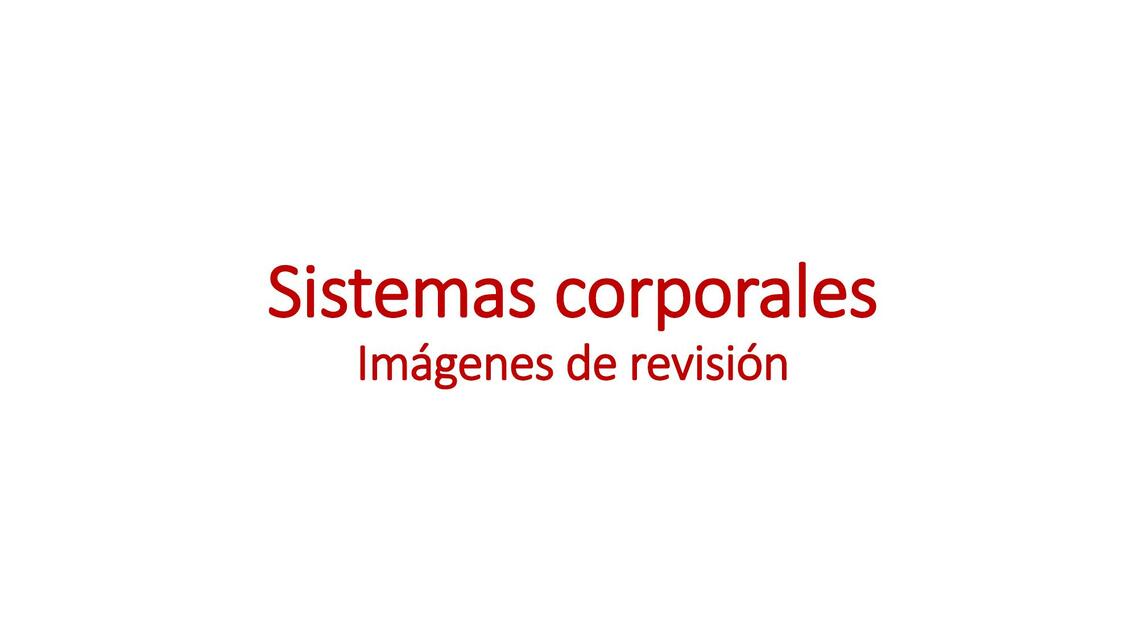 Imagenes de revision Sistemas corporales