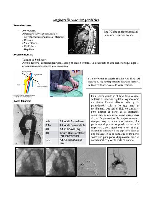 Clase 12 Angiografía