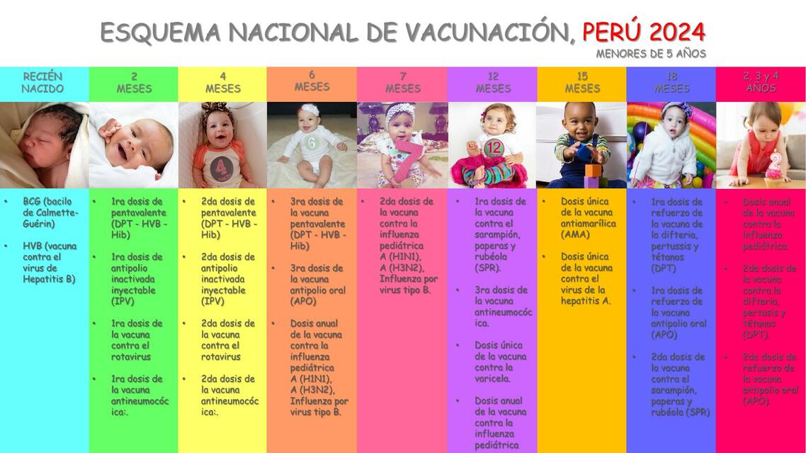 Esquema Nacional de Vacunación Perú-2024