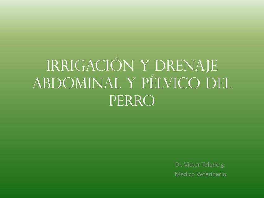 Irrigación y drenaje abdominal y pélvico del perro 