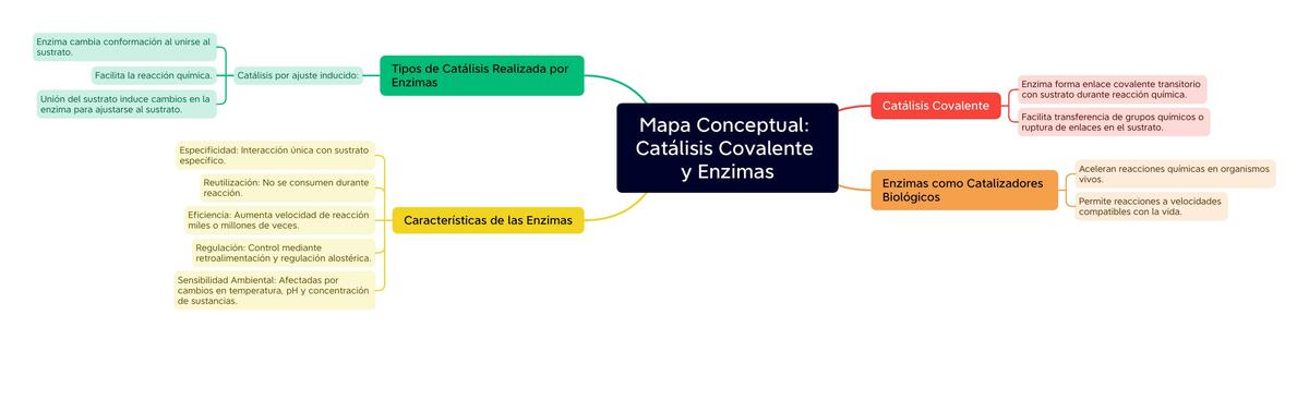 Mapa Conceptual Catálisis Covalente y Enzimas