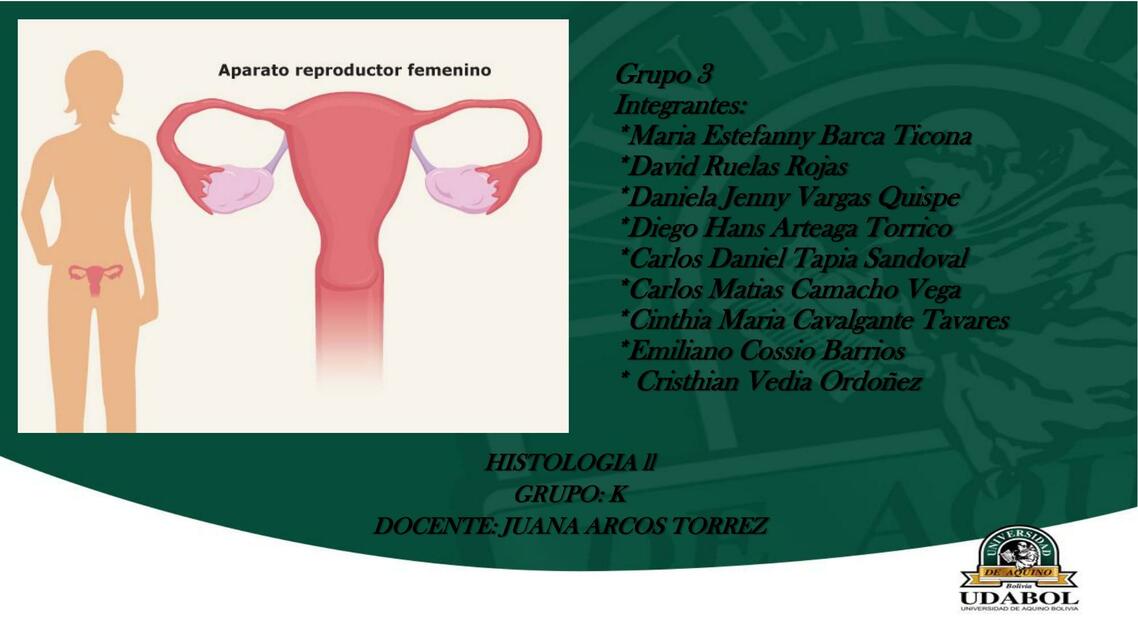 Aparato reproductor femenino 