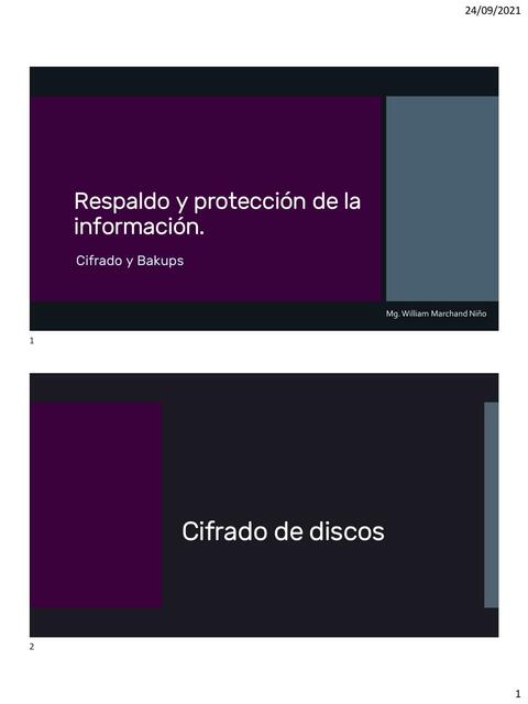 Respaldo y protección de la información