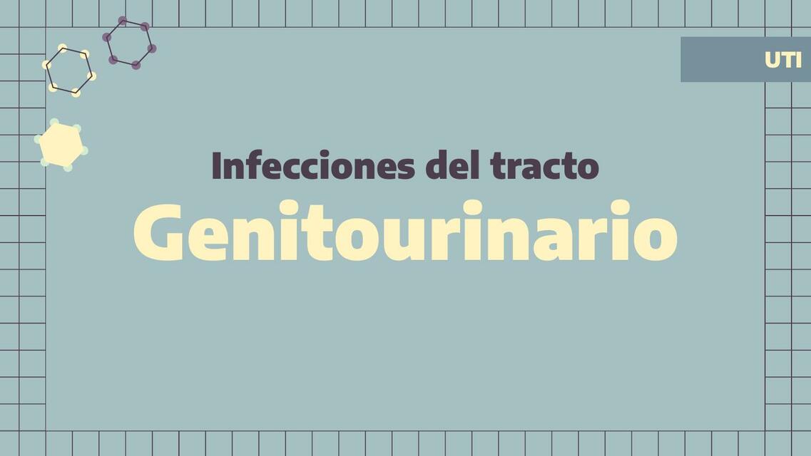 Infecciones del Tracto Genitourinario 