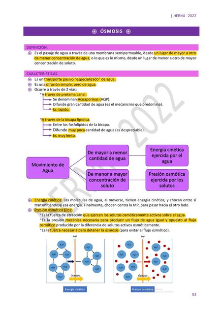 Ósmosis Equilibrio hídrico