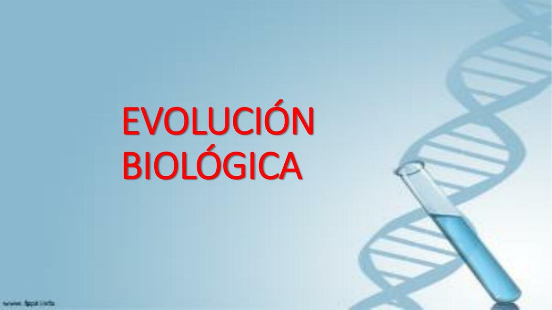 EVOLUCIÓN BIOLÓGICA