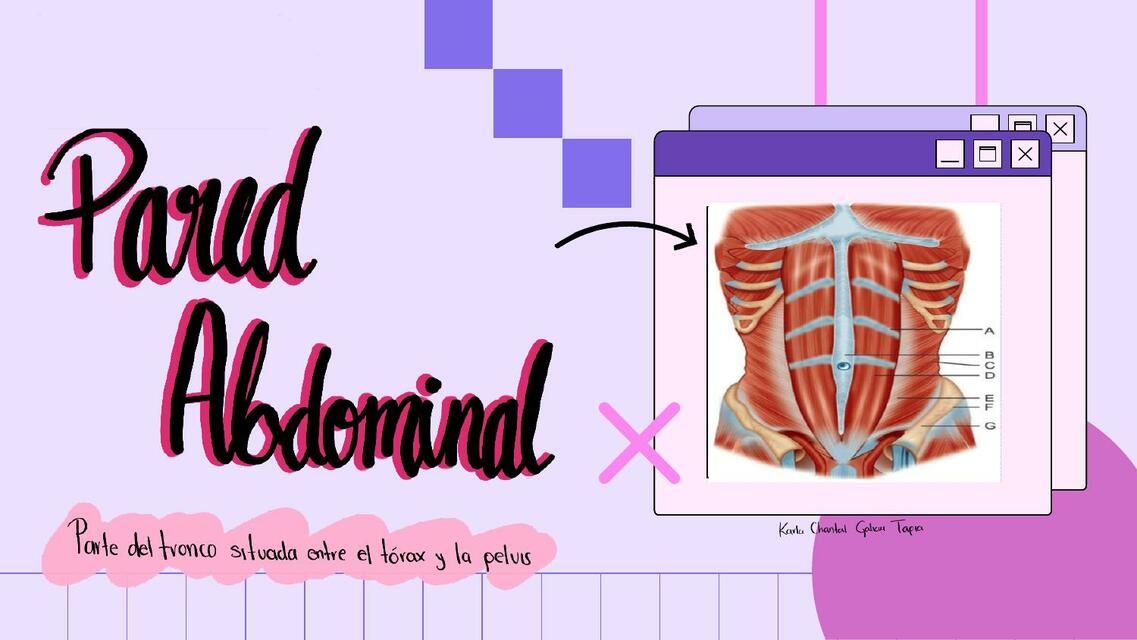 Pared Abdominal