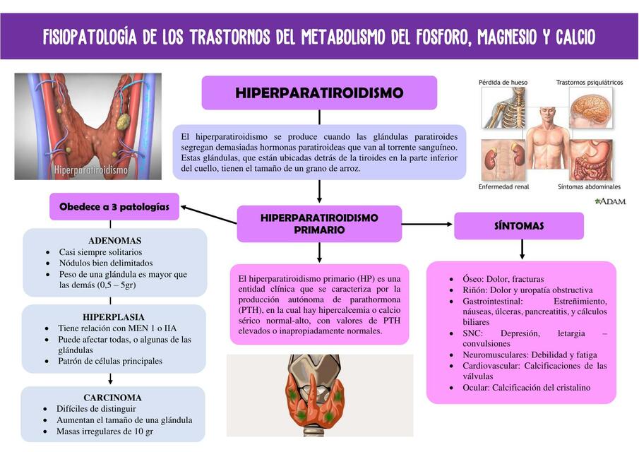 Transtornos del metabolismo del fósforo, magnesio y calcio