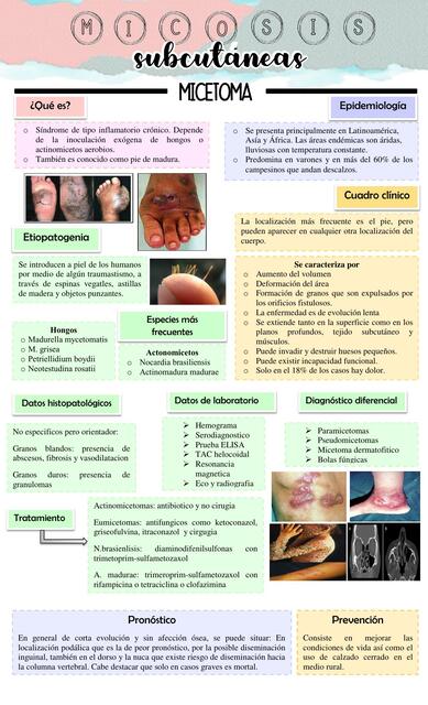 Infografía micosis subcutáneas micetoma