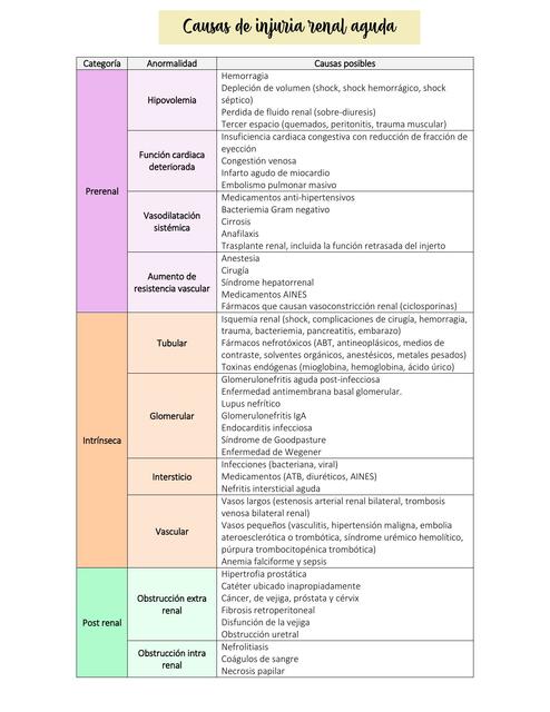 CAUSAS DE INJURIA RENAL AGUDA