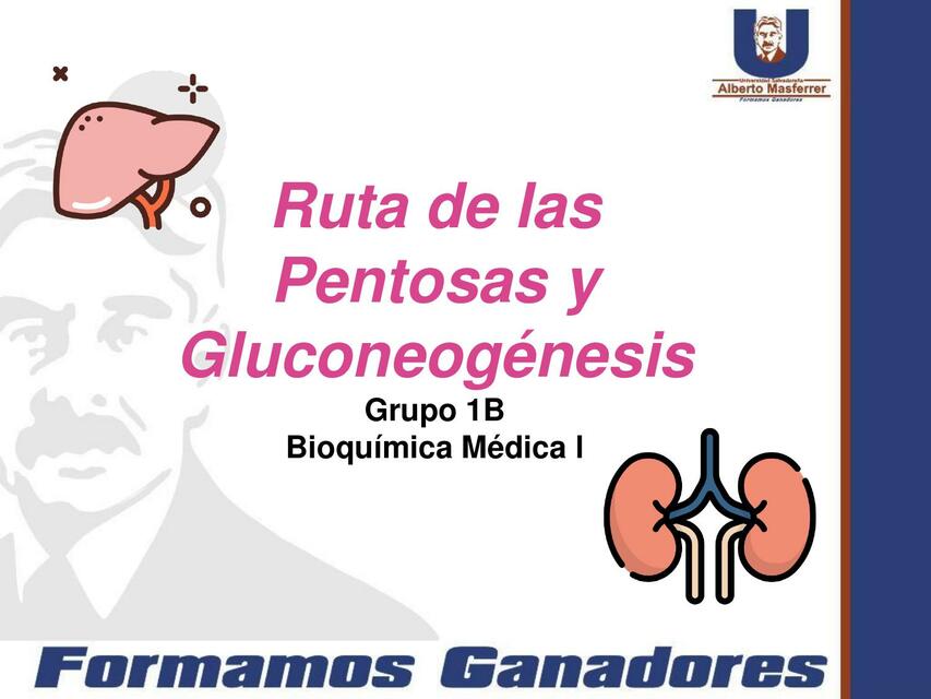 Ruta de las Pentosas y Gluconeogénesis