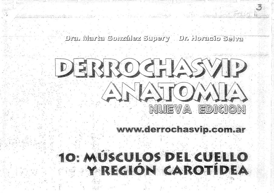 Músculos del cuello y región carotidea    