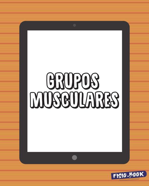 GRUPOS MUSCULARES