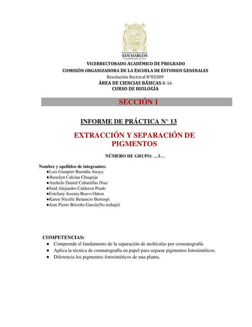 Informe de Practica Extracción y separación de Pigmentos