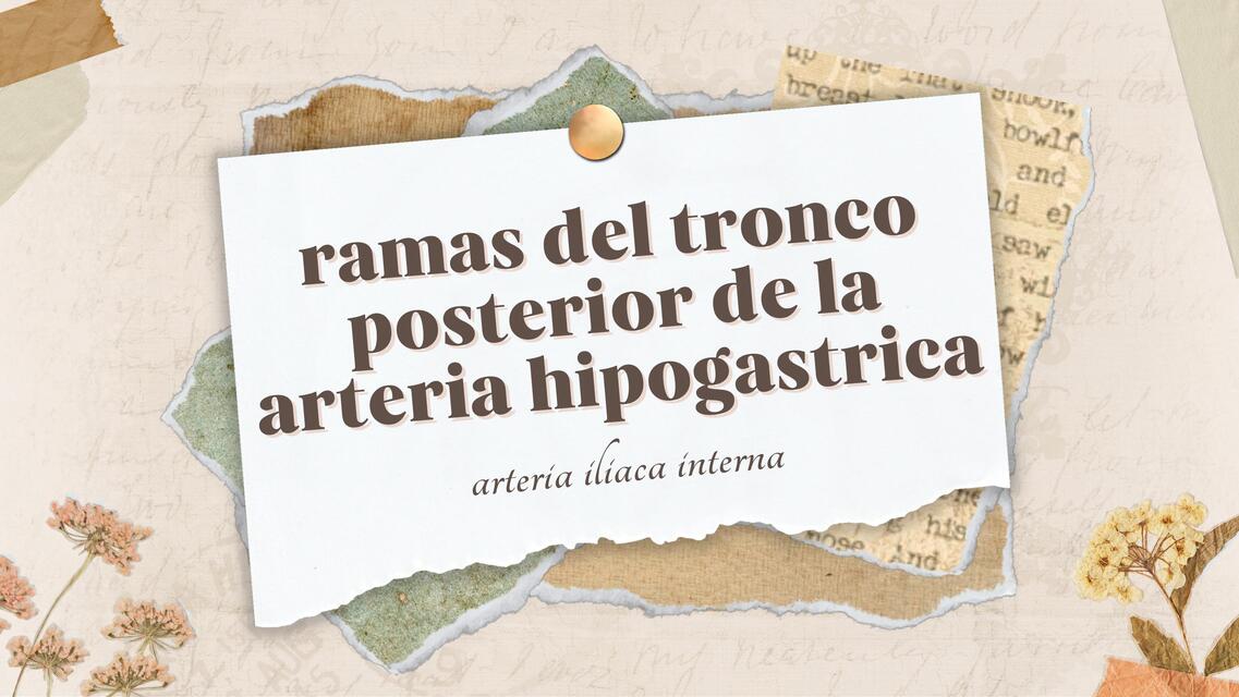 Ramas del tronco posterior de la arteria hipogástrica  