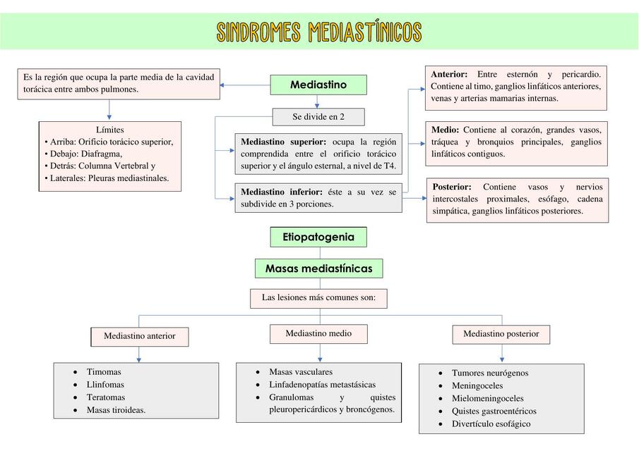 Síndromes mediastínicos