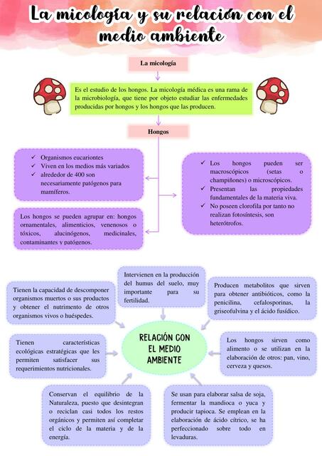 Micología importancia clínica