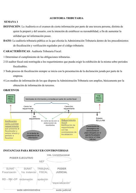 Auditoria tributaria 