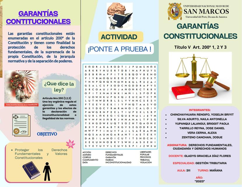 Garantias constitucinales 1