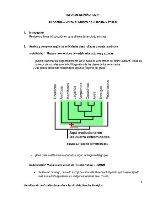 Tarea Práctica Evolución Visita Museo 2