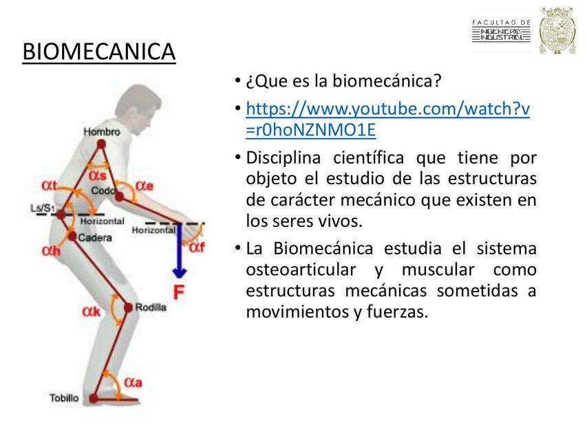 Riesgos Biomecanicos Levantamiento cargas