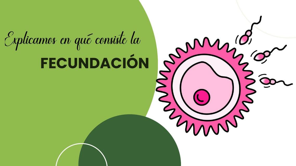 Fecundación 