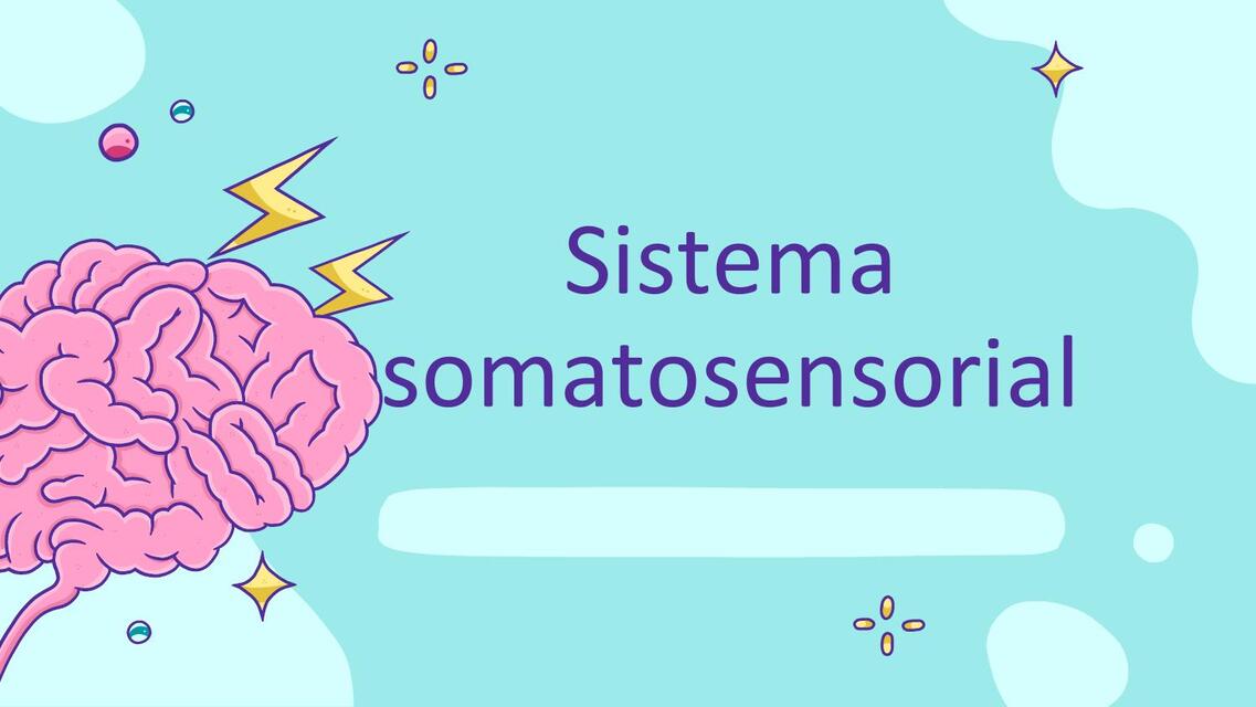 Sistema somatosensorial