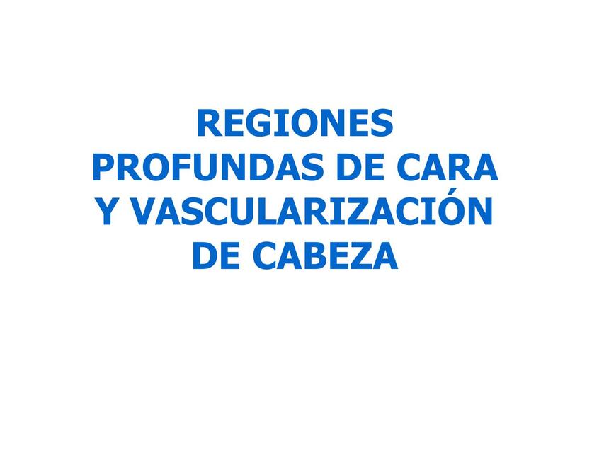 Regiones profundas de cara y vascularización de cabeza  